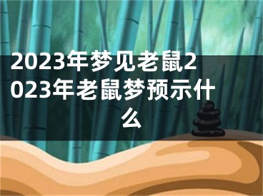 2023年梦见老鼠2023年老鼠梦预示什么