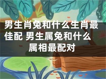 男生肖兔和什么生肖最佳配 男生属兔和什么属相最配对