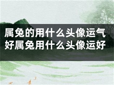 属兔的用什么头像运气好属兔用什么头像运好