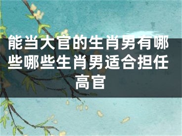 能当大官的生肖男有哪些哪些生肖男适合担任高官