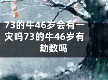 73的牛46岁会有一灾吗73的牛46岁有劫数吗