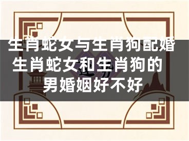 生肖蛇女与生肖狗配婚 生肖蛇女和生肖狗的男婚姻好不好