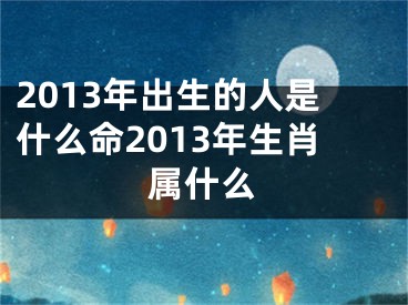 2013年出生的人是什么命2013年生肖属什么
