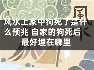 风水上家中狗死了是什么预兆 自家的狗死后最好埋在哪里