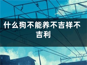 什么狗不能养不吉祥不吉利