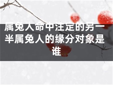 属兔人命中注定的另一半属兔人的缘分对象是谁
