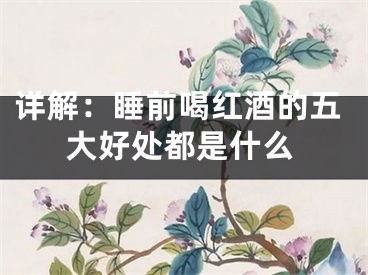 详解：睡前喝红酒的五大好处都是什么