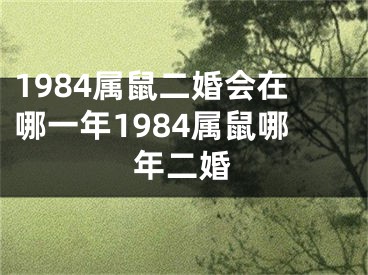 1984属鼠二婚会在哪一年1984属鼠哪年二婚
