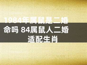 1984年属鼠是二婚命吗 84属鼠人二婚适配生肖