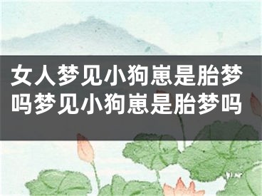 女人梦见小狗崽是胎梦吗梦见小狗崽是胎梦吗