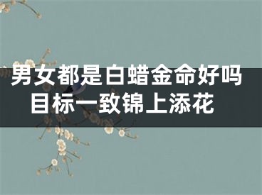 男女都是白蜡金命好吗 目标一致锦上添花