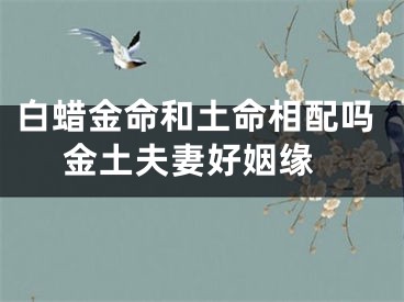 白蜡金命和土命相配吗 金土夫妻好姻缘