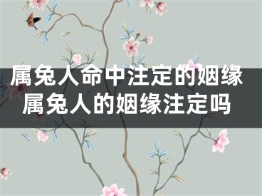 属兔人命中注定的姻缘属兔人的姻缘注定吗