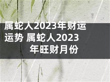 属蛇人2023年财运运势 属蛇人2023年旺财月份