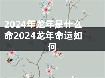 2024年龙年是什么命2024龙年命运如何