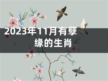 2023年11月有孽缘的生肖