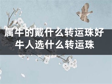 属牛的戴什么转运珠好牛人选什么转运珠