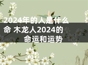 2024年的人是什么命 木龙人2024的命运和运势