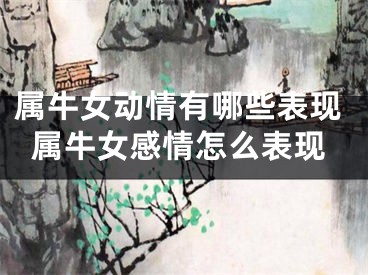 属牛女动情有哪些表现属牛女感情怎么表现