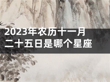 2023年农历十一月二十五日是哪个星座 