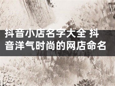 抖音小店名字大全 抖音洋气时尚的网店命名
