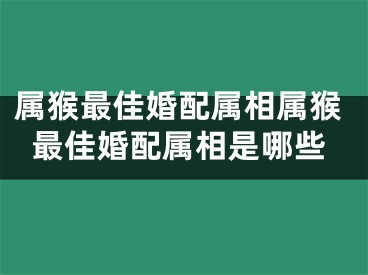 属猴最佳婚配属相属猴最佳婚配属相是哪些