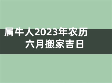 属牛人2023年农历六月搬家吉日