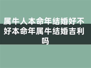 属牛人本命年结婚好不好本命年属牛结婚吉利吗