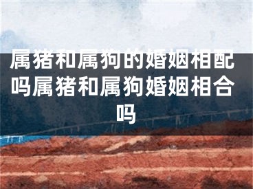 属猪和属狗的婚姻相配吗属猪和属狗婚姻相合吗