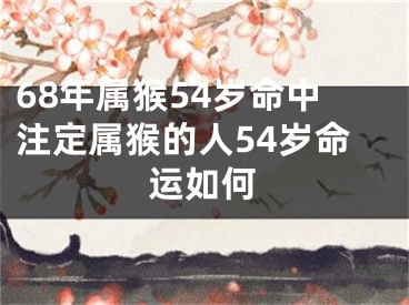 68年属猴54岁命中注定属猴的人54岁命运如何