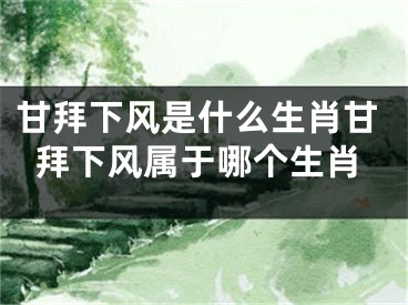 甘拜下风是什么生肖甘拜下风属于哪个生肖