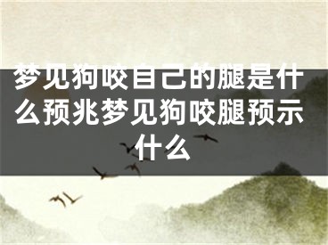 梦见狗咬自己的腿是什么预兆梦见狗咬腿预示什么