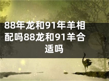 88年龙和91年羊相配吗88龙和91羊合适吗
