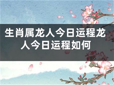 生肖属龙人今日运程龙人今日运程如何