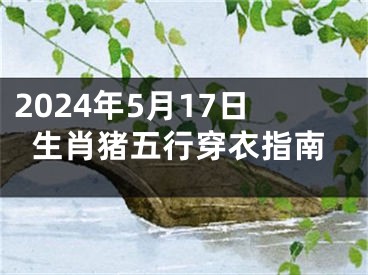 2024年5月17日生肖猪五行穿衣指南