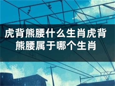 虎背熊腰什么生肖虎背熊腰属于哪个生肖