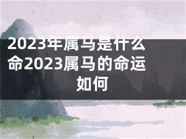 2023年属马是什么命2023属马的命运如何