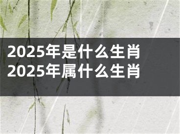 2025年是什么生肖2025年属什么生肖