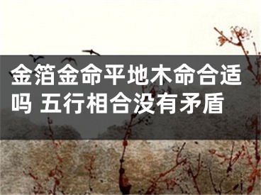 金箔金命平地木命合适吗 五行相合没有矛盾