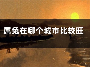 属兔在哪个城市比较旺