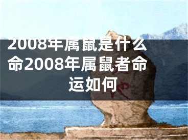 2008年属鼠是什么命2008年属鼠者命运如何