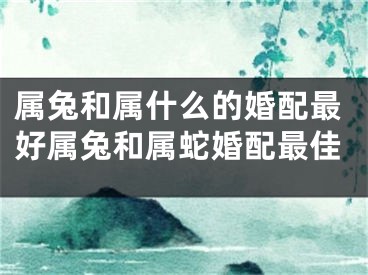 属兔和属什么的婚配最好属兔和属蛇婚配最佳