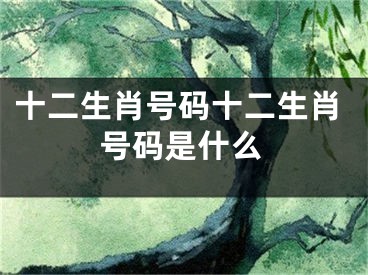 十二生肖号码十二生肖号码是什么