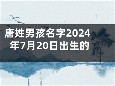 唐姓男孩名字2024年7月20日出生的