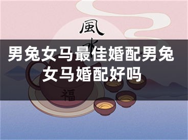 男兔女马最佳婚配男兔女马婚配好吗