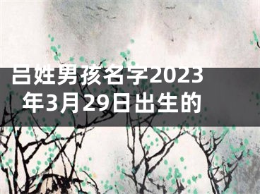 吕姓男孩名字2023年3月29日出生的