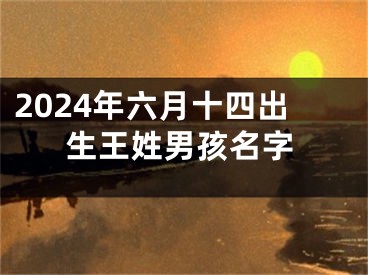 2024年六月十四出生王姓男孩名字