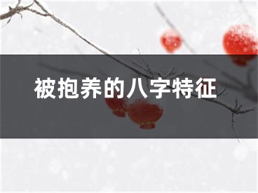 被抱养的八字特征
