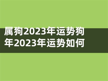 属狗2023年运势狗年2023年运势如何