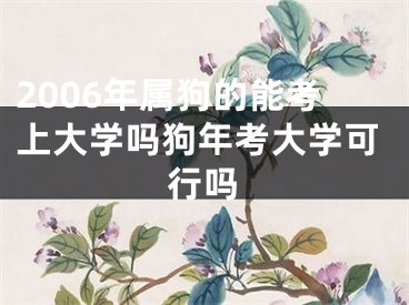 2006年属狗的能考上大学吗狗年考大学可行吗